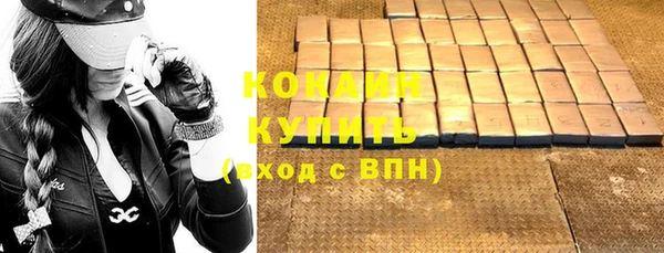 тгк Нея
